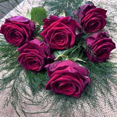 Just Roses